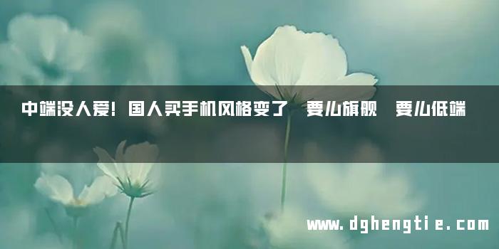 中端没人爱!国人买手机风格变了 要么旗舰 要么低端